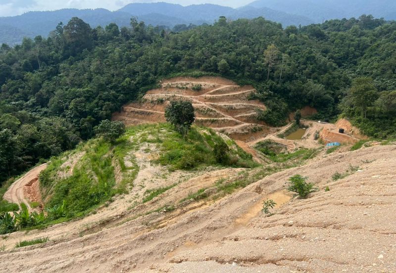 Durian Land @ Kuala Pilah (Near Town)