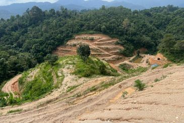 Durian Land @ Kuala Pilah (Near Town)