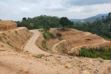 Durian Land @ Kuala Pilah (Near Town)