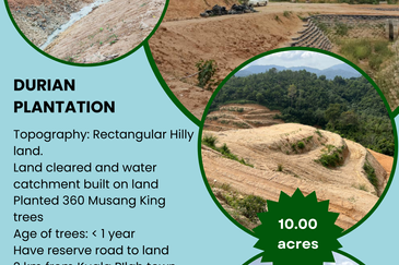 Durian Land @ Kuala Pilah (Near Town)