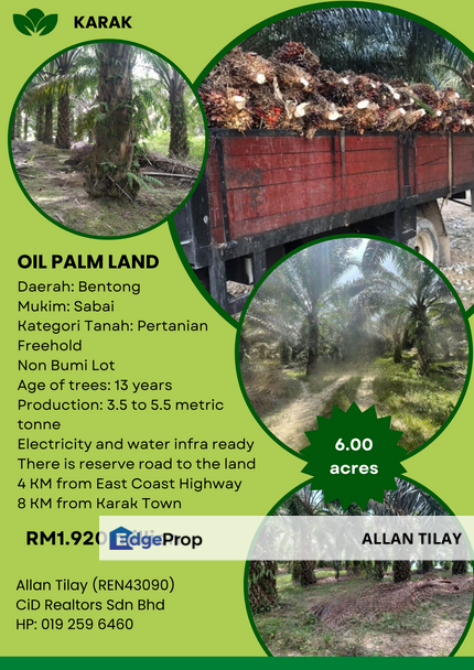 Oil Palm Land @ Karak, Pahang, Karak