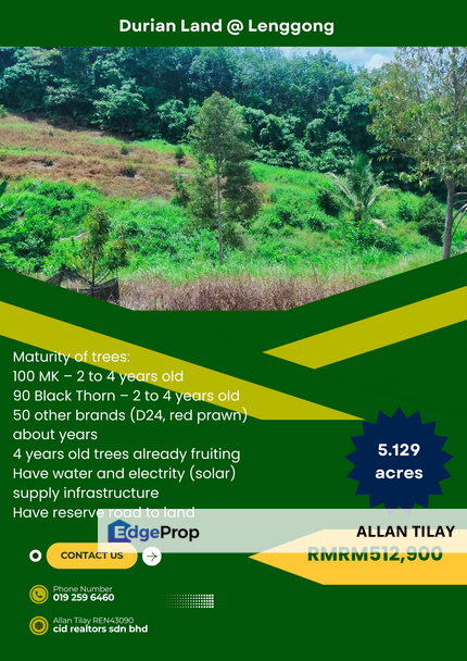 Durian Land @ Lenggong, Perak, Lenggong