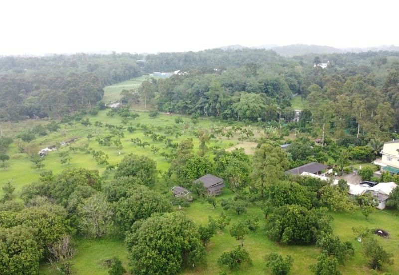Batang Kali Agricultural Land with Bungalow House 