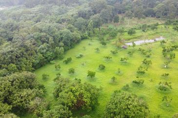 Batang Kali Agricultural Land with Bungalow House 