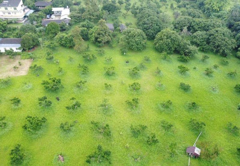 Batang Kali Agricultural Land with Bungalow House 