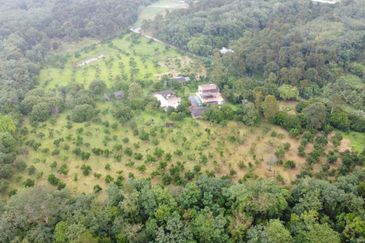 Batang Kali Agricultural Land with Bungalow House 