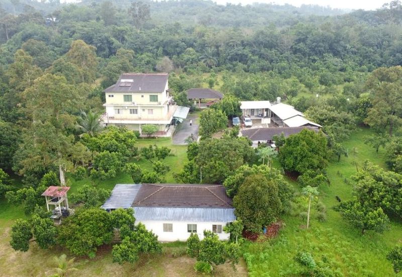 Batang Kali Agricultural Land with Bungalow House 