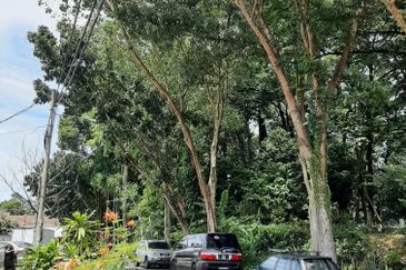 Double Storey for sale saujana damansara