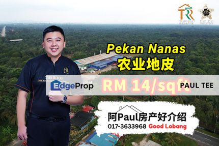 Pekan Nanas Agriculture Land For Sale, Johor, Pontian