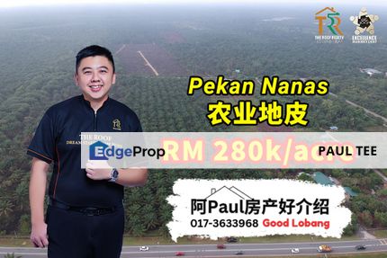 Pekan Nanas Agriculture Land For Sale, Johor, Pontian