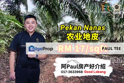 Pekan Nanas Agriculture Land For Sale, Johor, Pontian