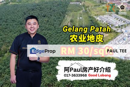 Gelang Patah 9.9 Acres Agriculture Land For Sale, Johor, Gelang Patah