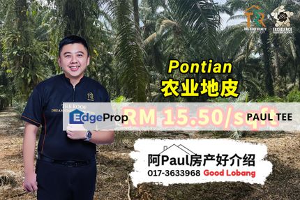 Pontian 12 Acres Zoning Industrial Agriculture Land For Sale, Johor, Pontian