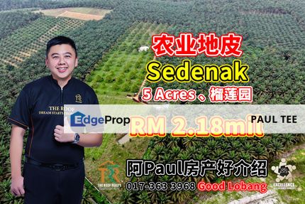 Sedenak 5 Acres Agriculture Land For Sale, Johor, Kulai