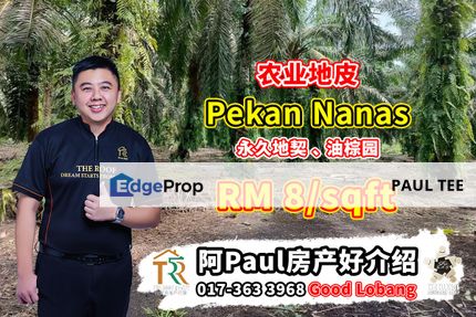 Pekan Nanas Agriculture Land For Sale, Johor, Pontian