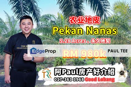 Pekan Nanas 5.28 Acres Agriculture Land For Sale, Johor, Pontian