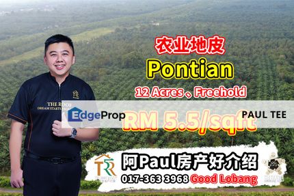 Pontian 12 Acres Agriculture Land For Sale, Johor, Pontian