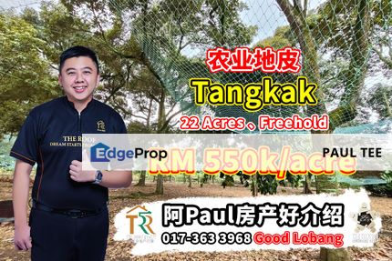 Tangkak 22 Acres Agriculture Land For Sale, Johor, Tangkak
