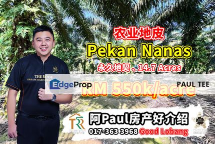 Pekan Nanas Agriculture Land For Sale, Johor, Pontian