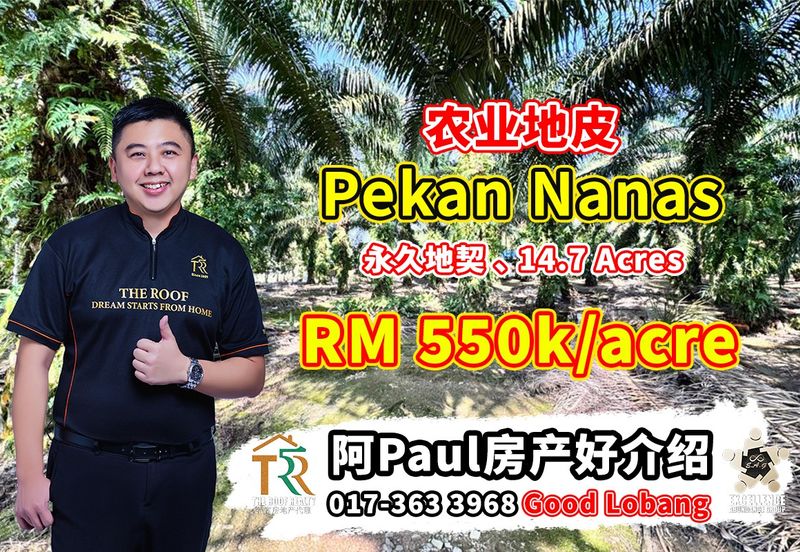Pekan Nanas