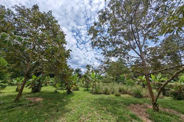 Taman Pontian Perdana