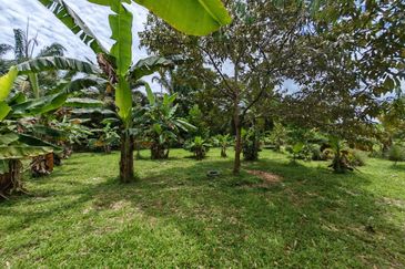 Taman Pontian Perdana