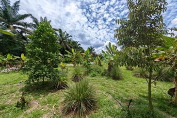 Taman Pontian Perdana