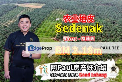 Sedenak Agriculture Land For Sale, Johor, Kulai