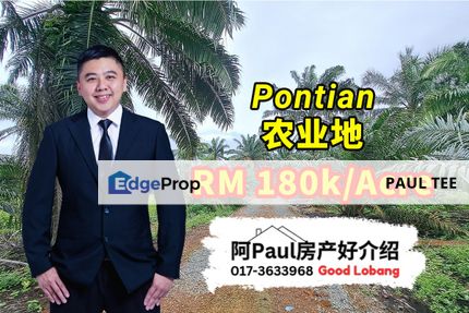 Pontian 6.54 Acres Agricultural Land For Sale, Johor, Pontian