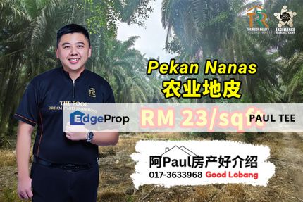 Pekan Nanas Agriculture Land For Sale, Johor, Pontian