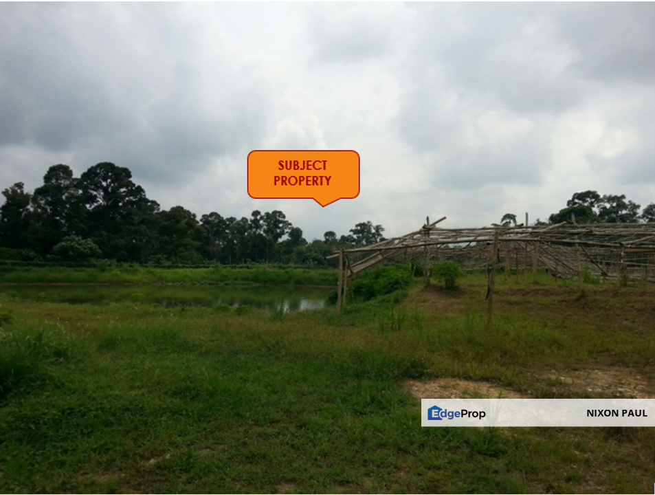 Batang Kali Potential Housing Development Land For Sale, Selangor, Batang Kali