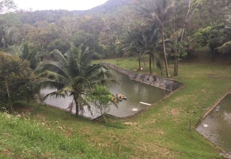 Raub Durian Orchard With Luxury Residential Bungalow For Sale