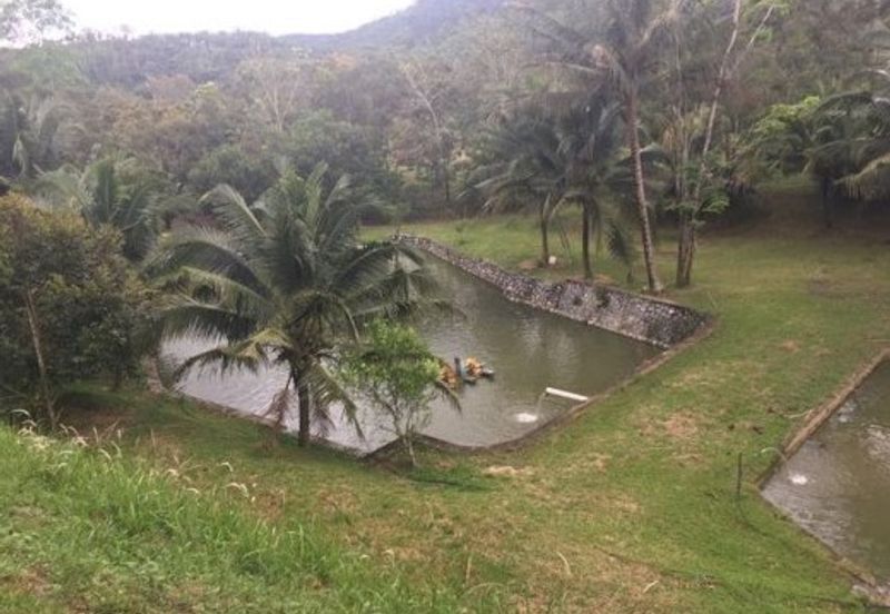 Raub Durian Orchard With Luxury Residential Bungalow For Sale