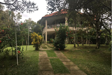 Raub Durian Orchard With Luxury Residential Bungalow For Sale