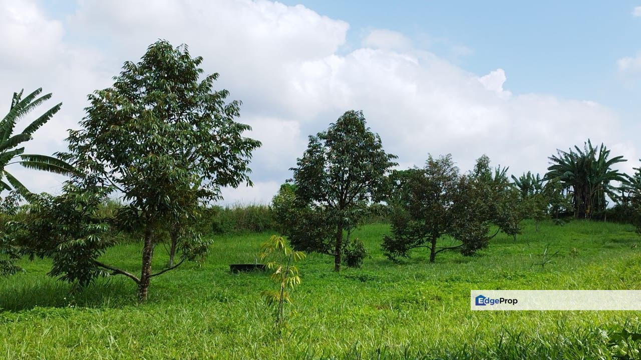 Freehold two acres agricultural land broga semenyih, Selangor, Hulu Langat