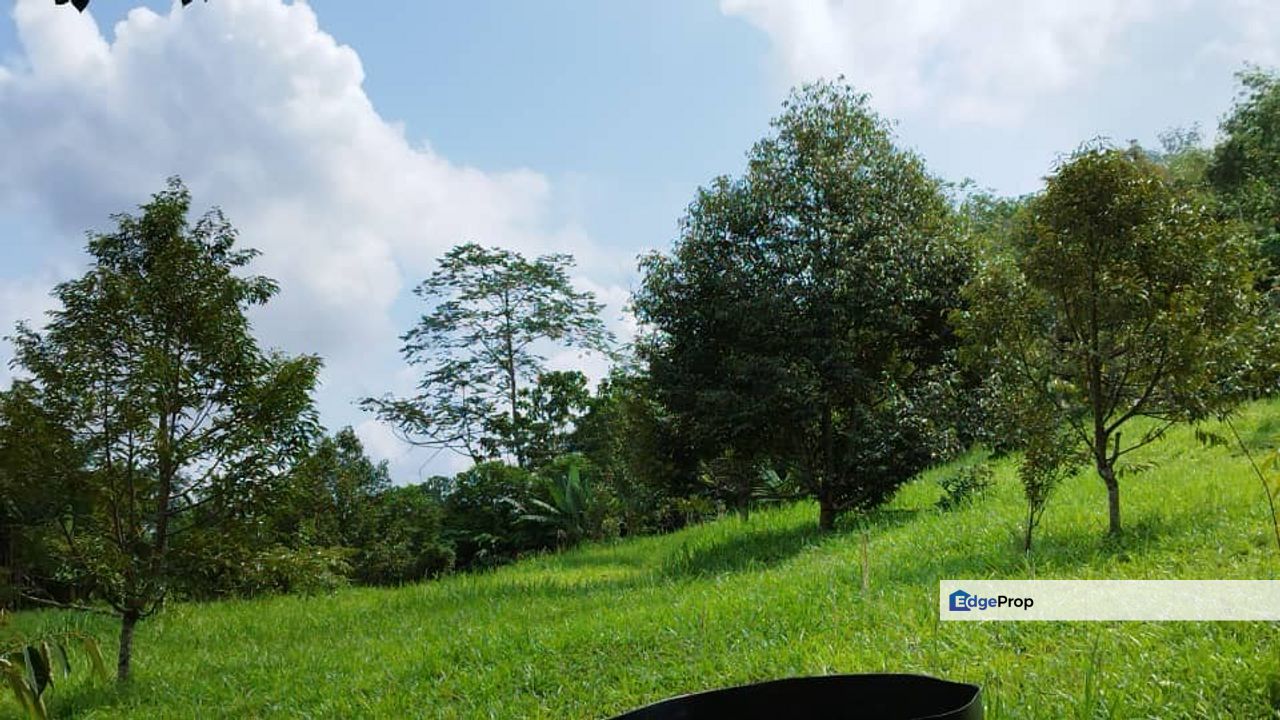 Freehold two acres agricultural land broga semenyih, Selangor, Hulu Langat