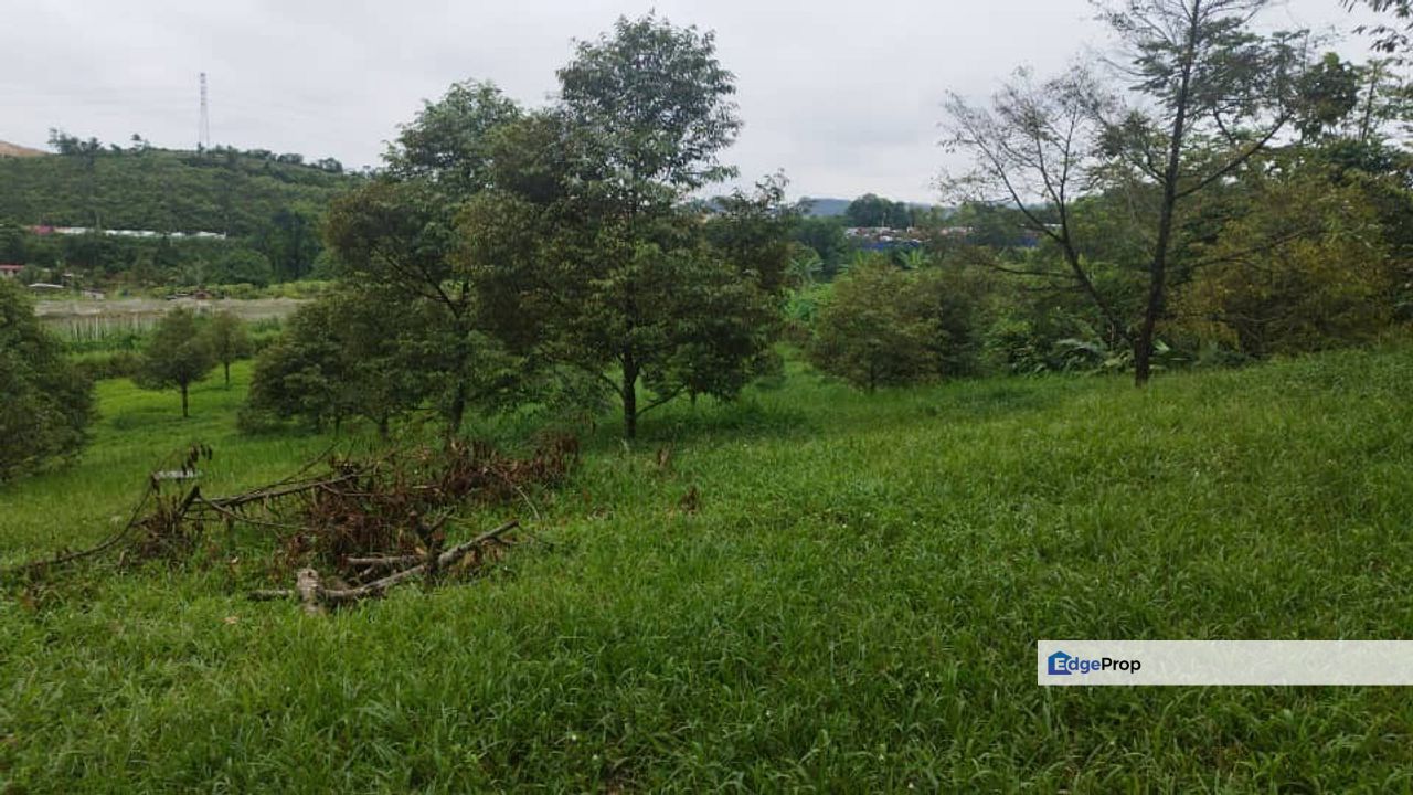 Freehold two acres agricultural land broga semenyih, Selangor, Hulu Langat