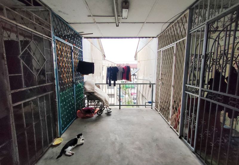 Seksyen 17, Shah Alam