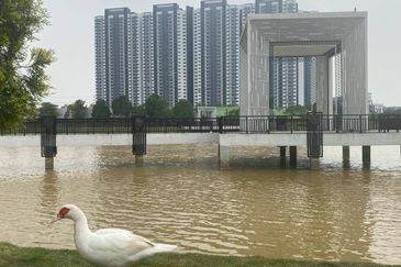 (FREEHOLD & HIGH FLOOR with BALCONY) Huni D' @ Eco Ardence Service Residence Setia Alam