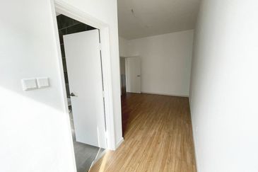 Lily Encorp Cahaya Alam