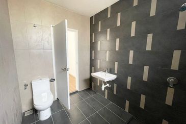 Lily Encorp Cahaya Alam