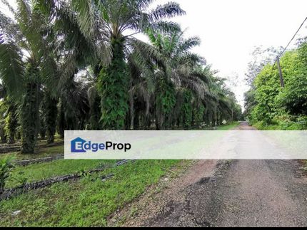 Near E22 Highway Jalan Kong Kong Agricultural Land , Johor, Pasir Gudang