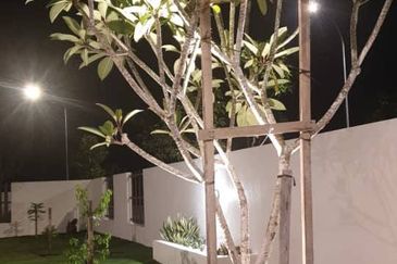 Farina @ Setia Ecohill 2