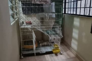 Seksyen 6 @ Bandar Bukit Mahkota