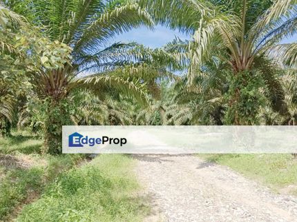 11 acres Agricultural Land at Kuantan for sale, Pahang, Kuantan