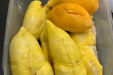 Durian Orchard @ Tanjung Malim Perak