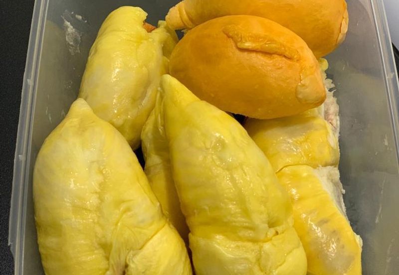 Durian Orchard @ Tanjung Malim Perak