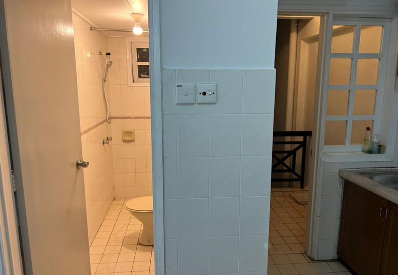 Silverpark Apartment