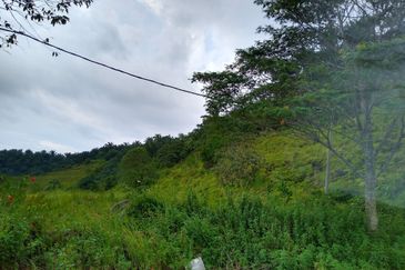 Bungalow Lot Middle of Town @ Bandar Coalfields Selangor