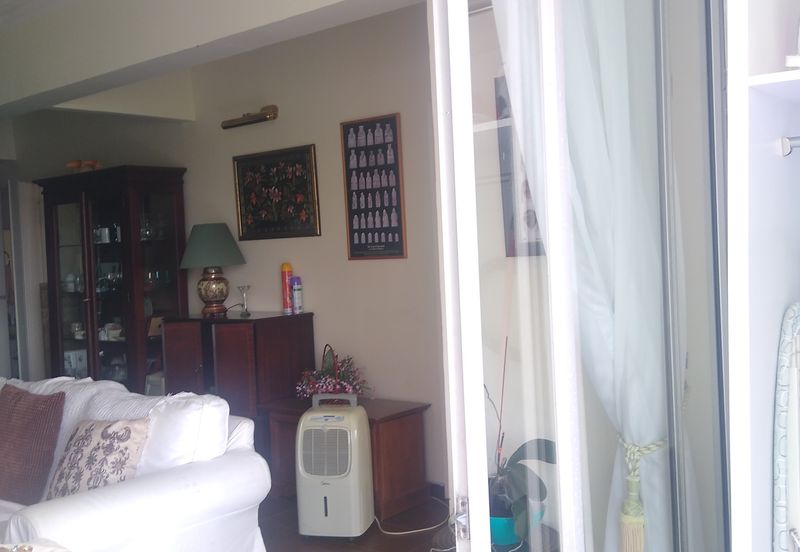 Silverpark Apartment